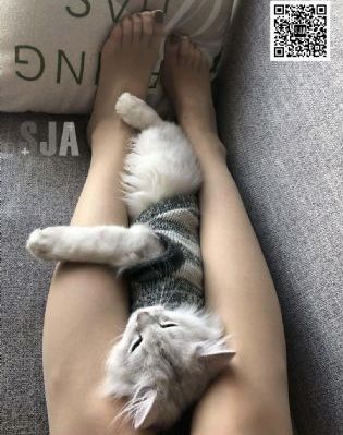 好奇害死猫无删减_云播放粤语日本成人在线